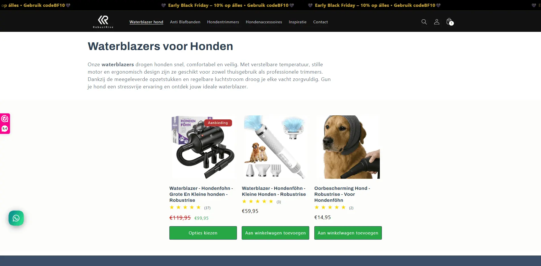 RobustRise category page before the redesign.