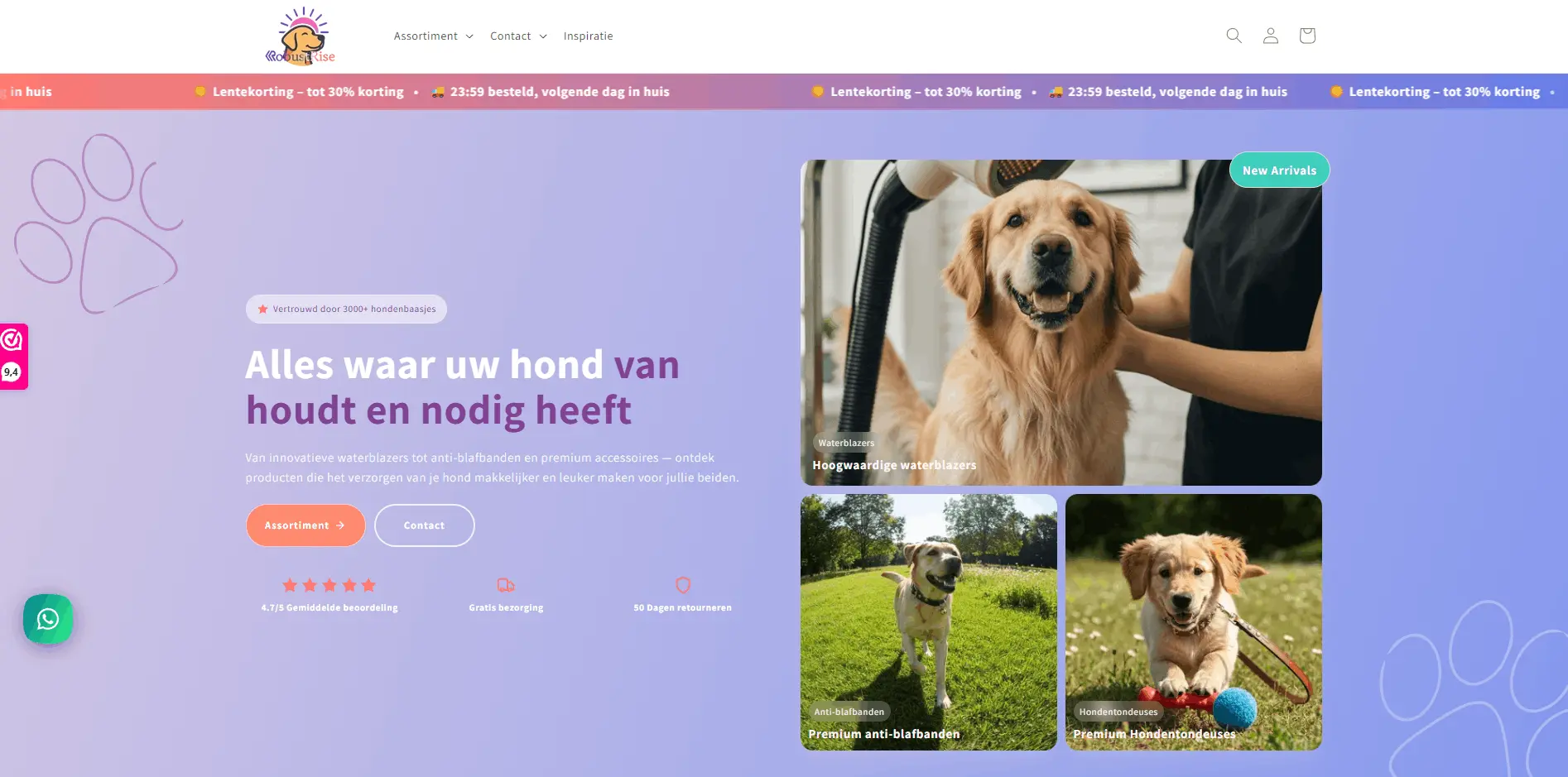 RobustRise homepage after the Shopify redesign: updated hero, navigation, and brand layout.