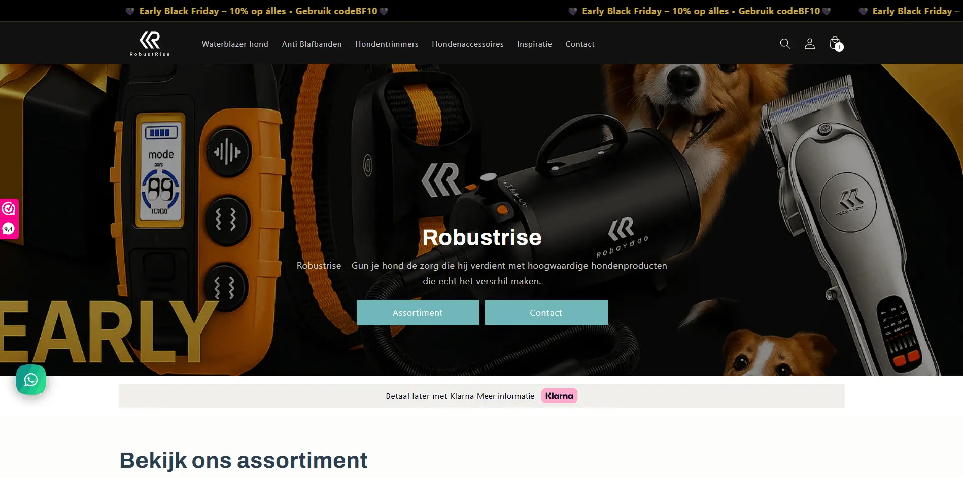 RobustRise homepage before the redesign: earlier layout and styling.