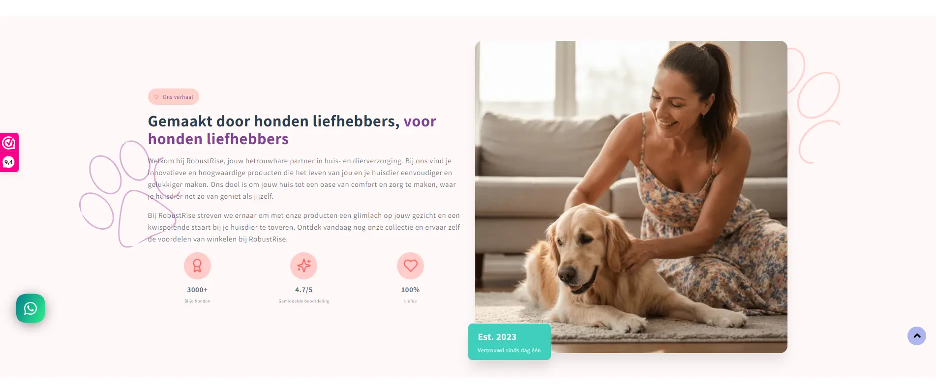 RobustRise about page after the redesign with consistent brand story and layout.